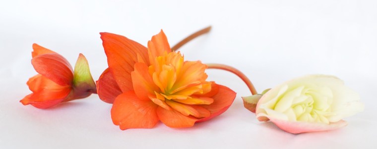 Jana Sládková masáže Uherské Hradiště - Míkovice